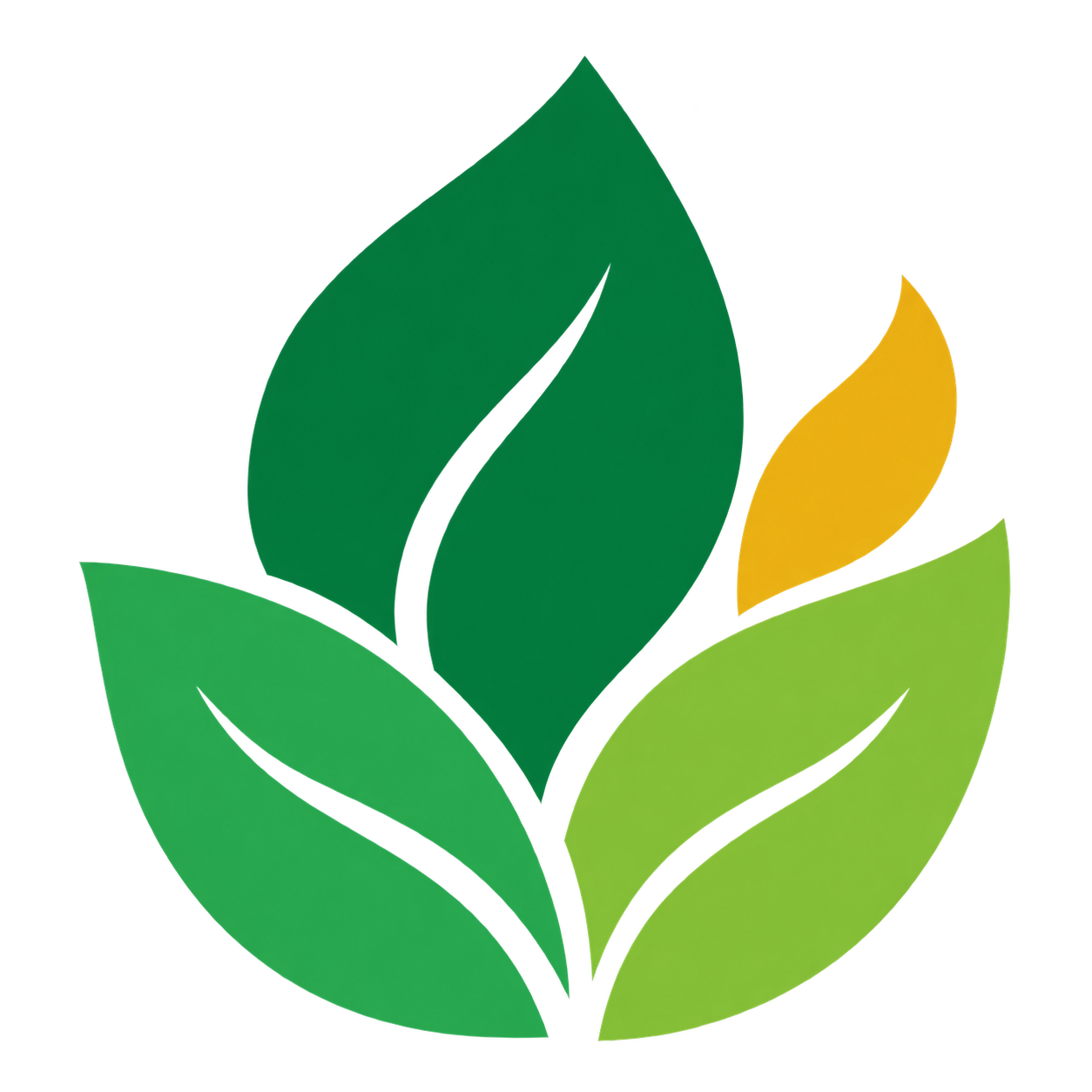 森序新材料有限公司 Logo